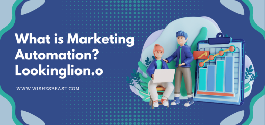 What is Marketing Automation Lookinglion.o