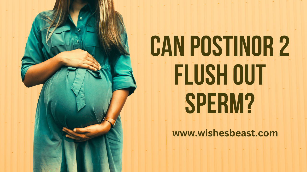 Can Postinor 2 Flush Out Sperm